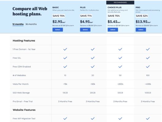 bluehost pricing